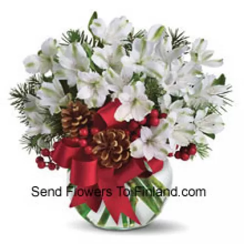 Share the magic of a white Christmas with this cheery bouquet of snowy white alstroemeria blossoms arranged in vase with festive holiday trim. (Please Note That We Reserve The Right To Substitute Any Product With A Suitable Product Of Equal Value In Case Of Non-Availability Of A Certain Product)